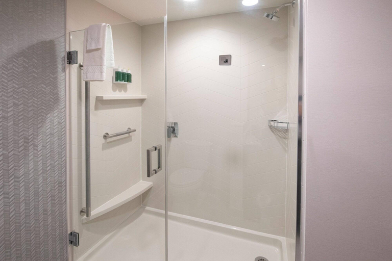 Bathroom 4, Fairfield Edmonton International Airport, Division No. 11