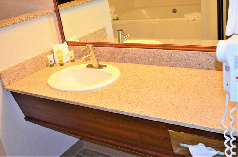 Bathroom 4, The Ashley Inn & Suites, Lincoln