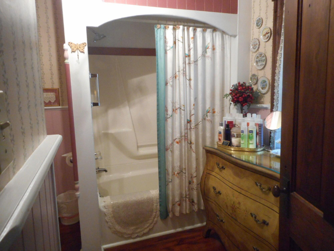 Bathroom, Applesauce Inn, Antrim