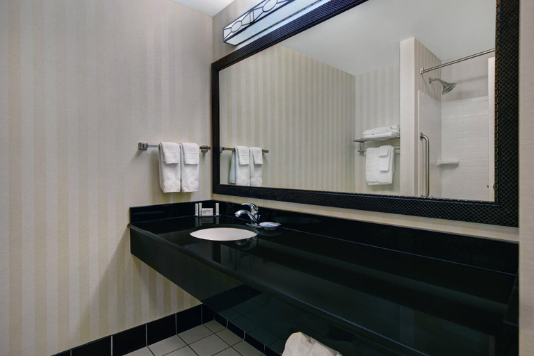Bathroom 4, Fairfield Inn & Suites Carlsbad, Eddy