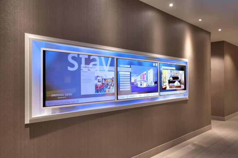 Public Area 3, SpringHill Suites Idaho Falls, Bonneville