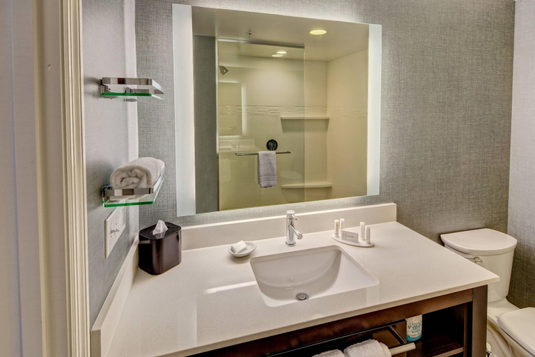 Bathroom 4, Residence Inn Blacksburg-University, Montgomery
