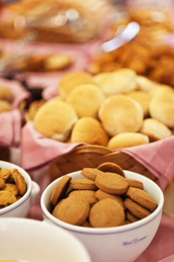 Food & Drinks 5, Europa Hotel rooms & Studios, South Aegean