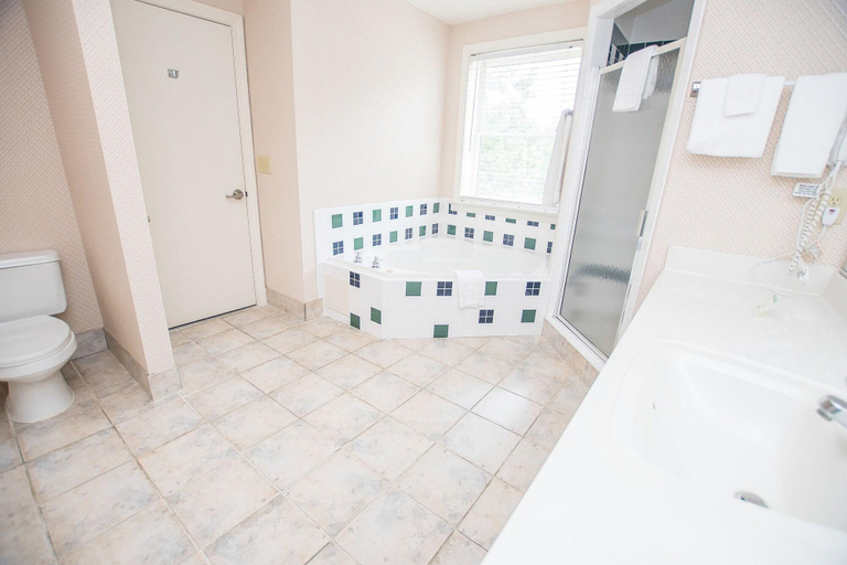 Bathroom 4, Lake Chatuge Lodge, Towns