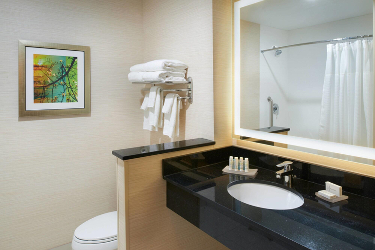 Bathroom 4, Fairfield Inn & Suites Detroit Troy, Oakland