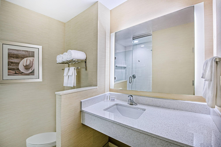 Bathroom 4, Fairfield Inn & Suites Van, Van Zandt