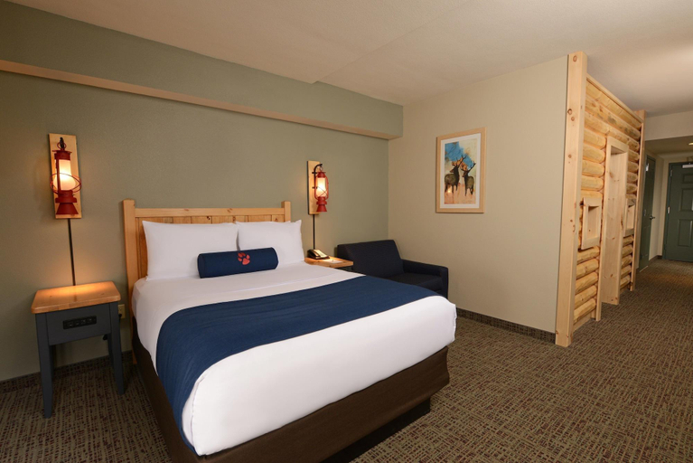 Bedroom 4, Great Wolf Lodge Colorado Springs, El Paso