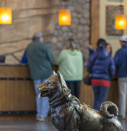 Public Area 2, Holland America Denali Lodge, Denali