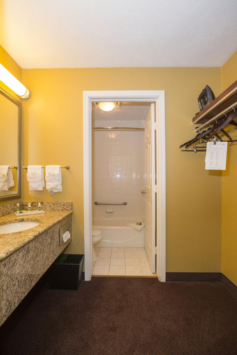 Bathroom 5, Ivy Court Inn & Suites, Saint Joseph
