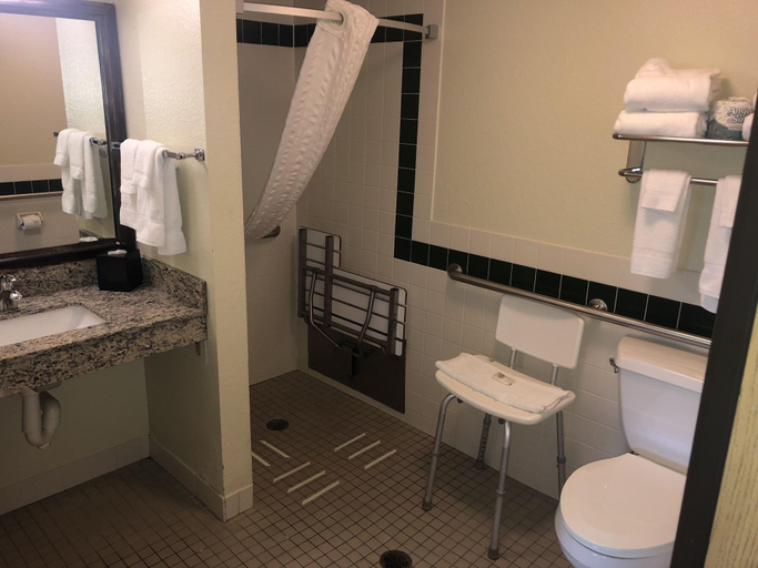 Bathroom 4, AmericInn Lodge & Suites Wisconsin Rapids, Wood