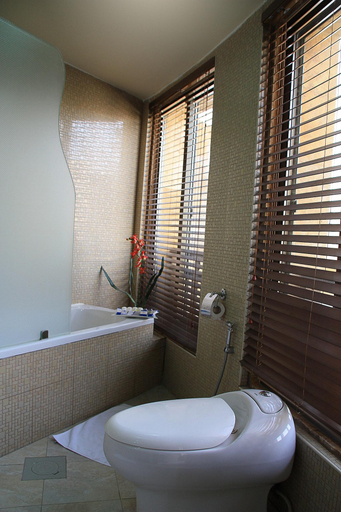 Bathroom 4, Captain Aqaba, Aqaba