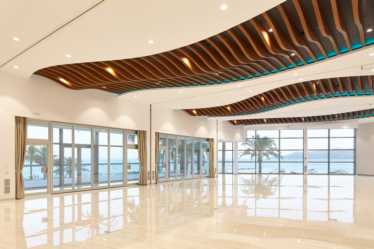 Public Area 4, Hotel Torre Del Mar, Baleares