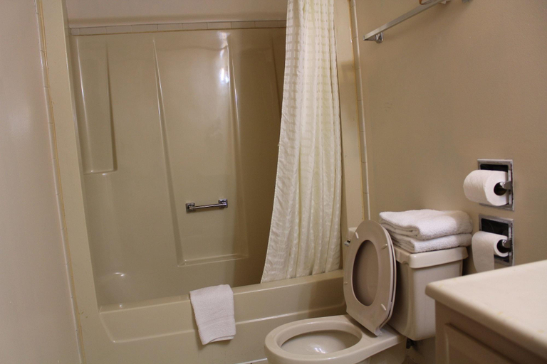 Bathroom 4, American Inn & Suites, Cook