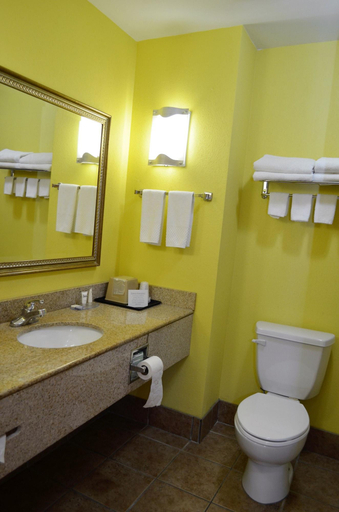 Bathroom 4, Baymont Inn And Suites Ringgold, Catoosa