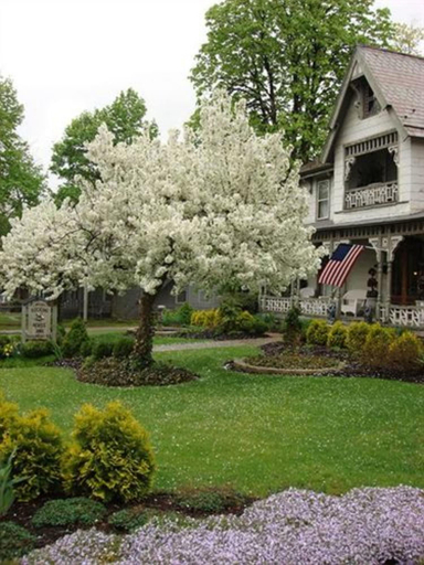 Exterior & Views 2, Rocking Horse Inn, Portage