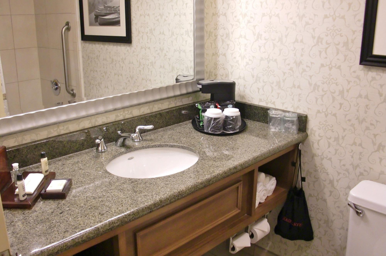 Bathroom, The Hotel Ml, Burlington