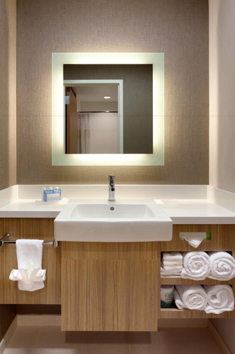 Bathroom 5, SpringHill Suites Moab, Grand