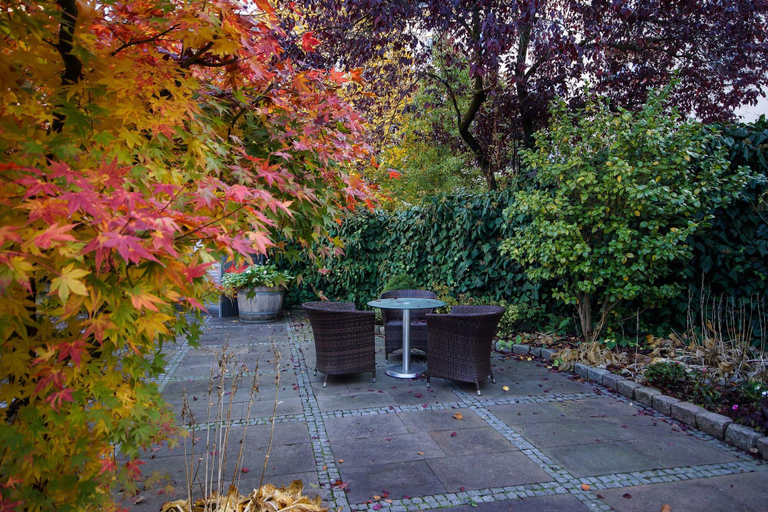 Exterior & Views 2, Apartmenthotel Kaiser Karl ( Self-check-in ), Bonn