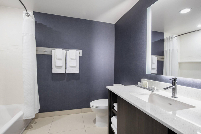 Bathroom 4, Residence Inn By Marriott Winnipeg, Division No. 11