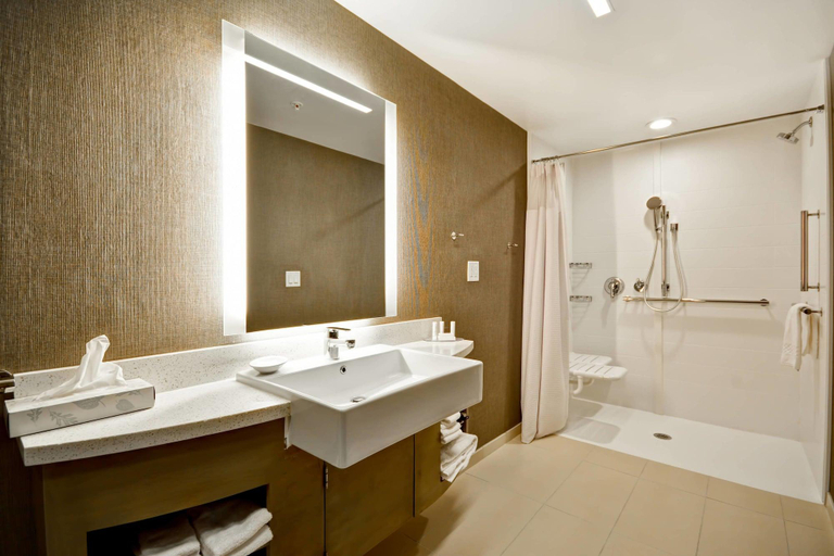 Bathroom 4, Springhill Suites Cincinnati Blue Ash, Hamilton