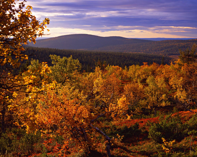 Exterior & Views 2, Lapland Hotels Saaga, Lapland