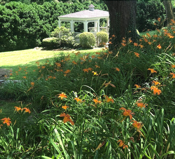 Exterior & Views 1, Black Horse Inn, Fauquier