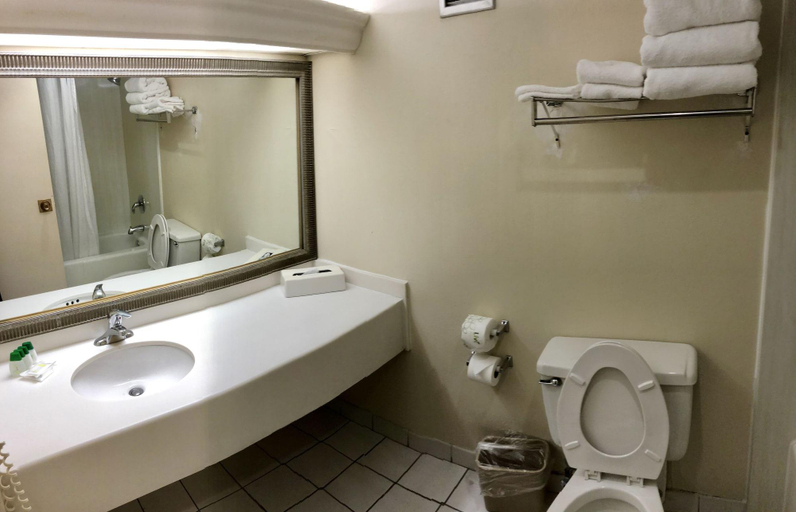 Bathroom 4, E Hotel Banquet and Conference Center - Edison, Middlesex