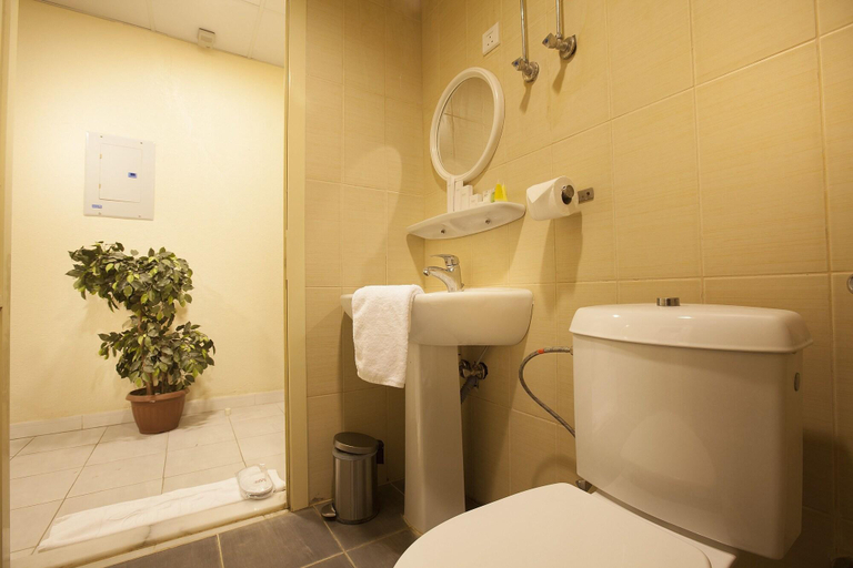 Bathroom 5, Palms Lily Hotel Suites, Al Ahsa