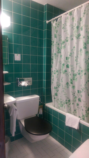 Bathroom 4, Hotel de Gruyères, La Gruyère