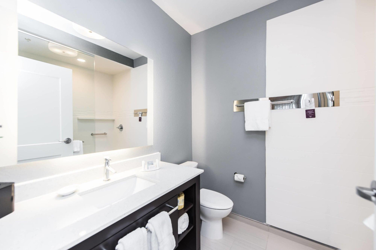 Bathroom 5, Residence Inn Austin Southwest, Travis