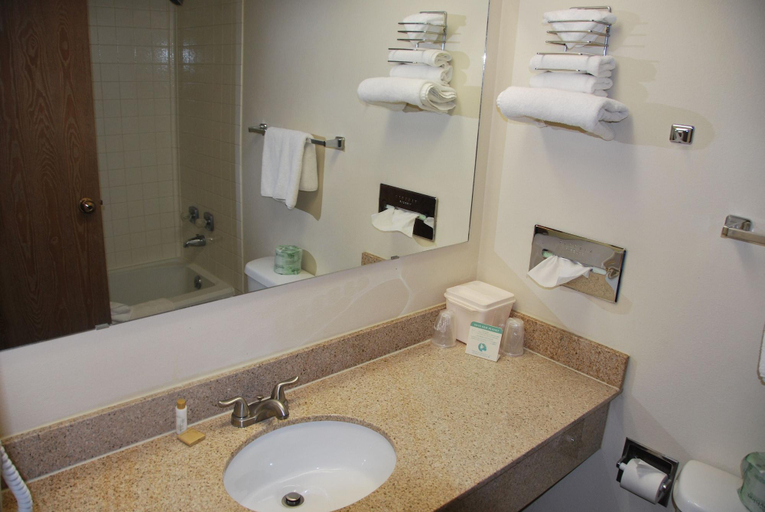 Bathroom 4, National 9 Price, Carbon
