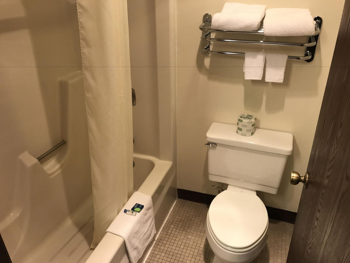 Bathroom 3, Frankenmuth Motel, Saginaw