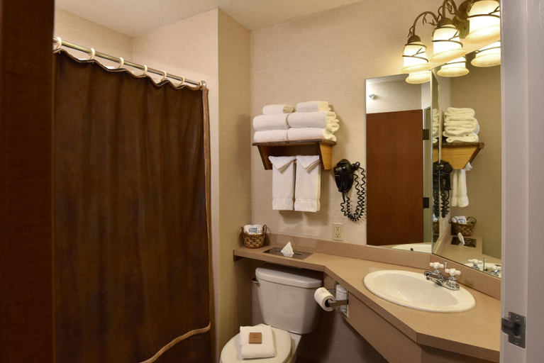 Bathroom 4, Stoney Creek Inn, Buchanan