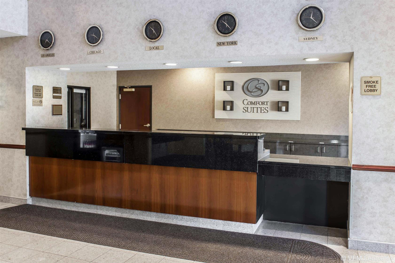 Public Area 3, Comfort Suites West Indianapolis - Brownsburg, Hendricks
