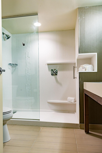 Bathroom 5, Courtyard Omaha East/Council Bluffs, IA, Pottawattamie