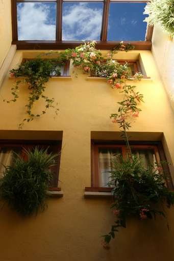 Public Area 3, Almunia de San Miguel, Toledo