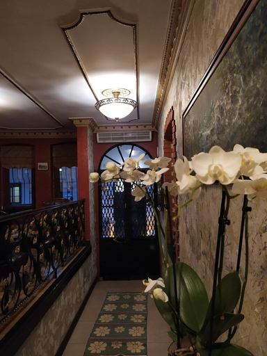 Public Area 2, Istanbul Shamrock Hotel, Beyoğlu