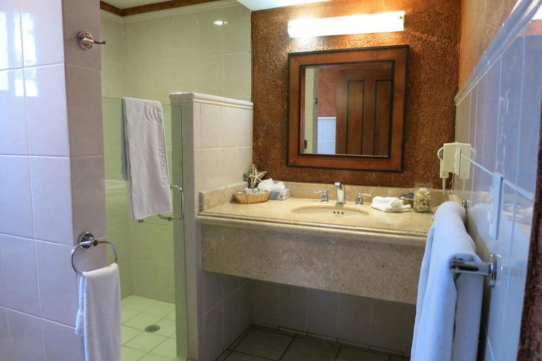 Bathroom 5, Hotel Palmas De Cortez, La Paz