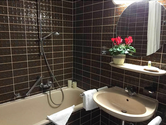 Bathroom 4, Teutonia Hotel, Lippe