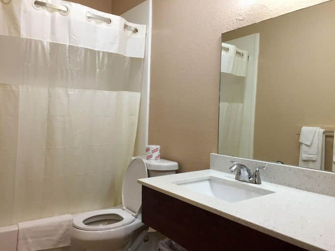 Bathroom 4, Regency Inn Hondo, Medina