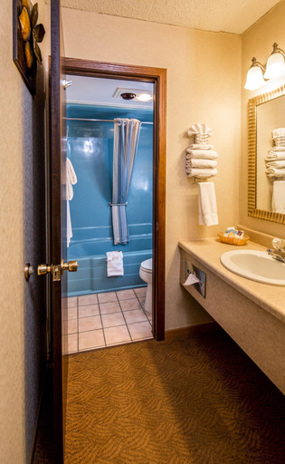 Bathroom 4, Foothills Inn, Pennington