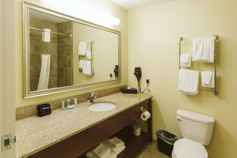 Bathroom 5, La Quinta Inn & Suites by Wyndham Minot, Ward