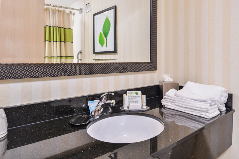 Bathroom 5, Fairfield Inn Marriott Corning, Steuben