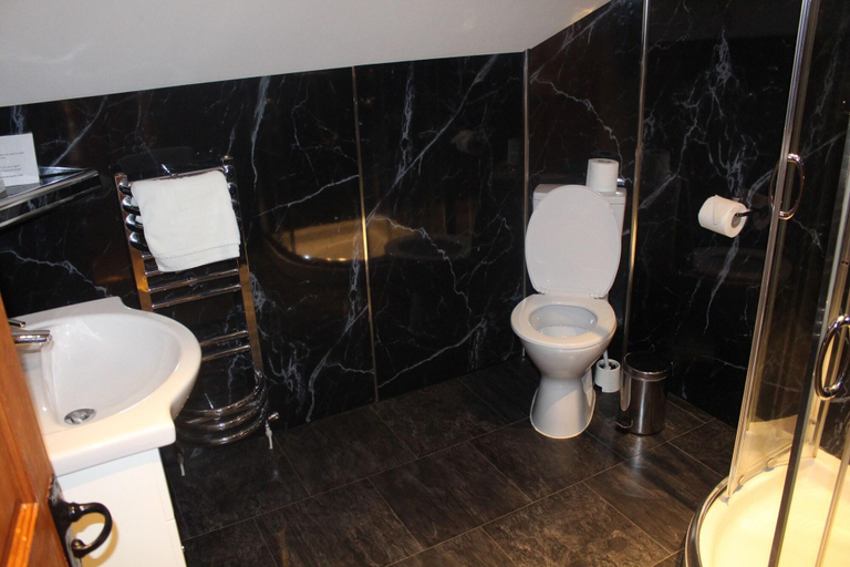 Bathroom 4, Dolgun Uchaf Guesthouse, Gwynedd