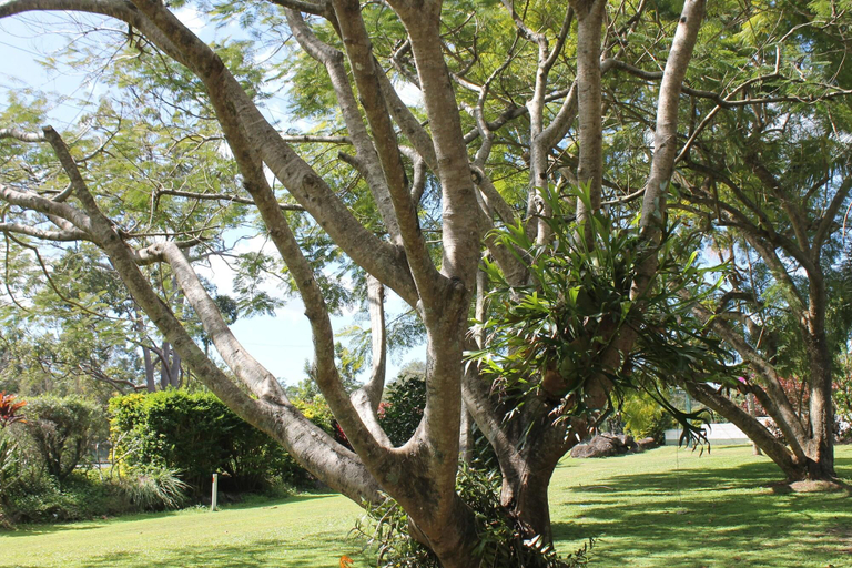 Exterior & Views 2, Buderim Fiesta Motel, Maroochy - Buderim