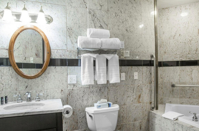 Bathroom 5, Aqua Blue Hotel, Washington