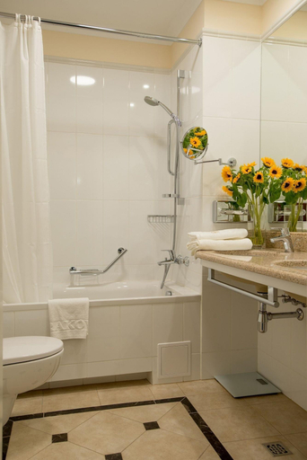 Bathroom 4, Polski Pod Bialym Orlem , Kraków City