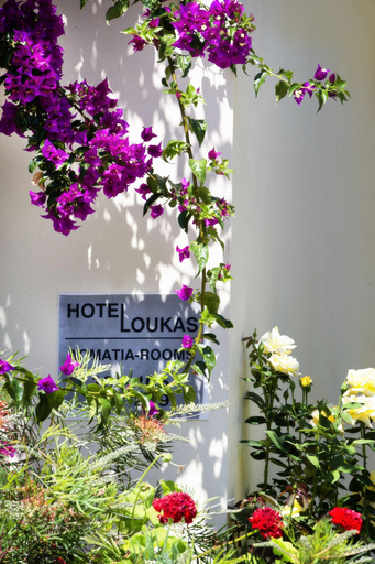 Public Area 3, Loukas, Epirus