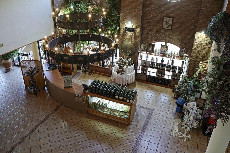 Public Area 2, Hotel Alfonso VIII, Jaén
