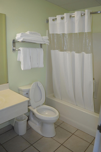 Bathroom 5, Palmetto Inn Suites, Bay